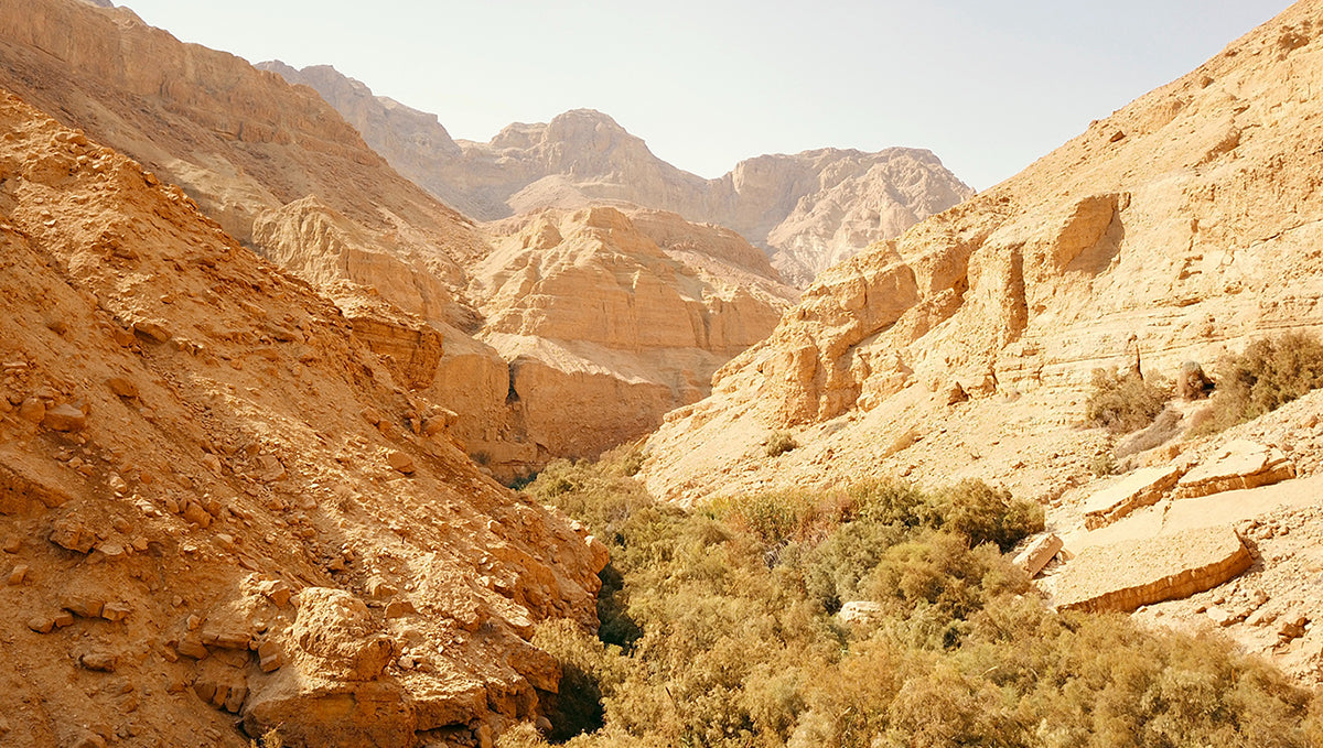 The Blessings of Faithfulness