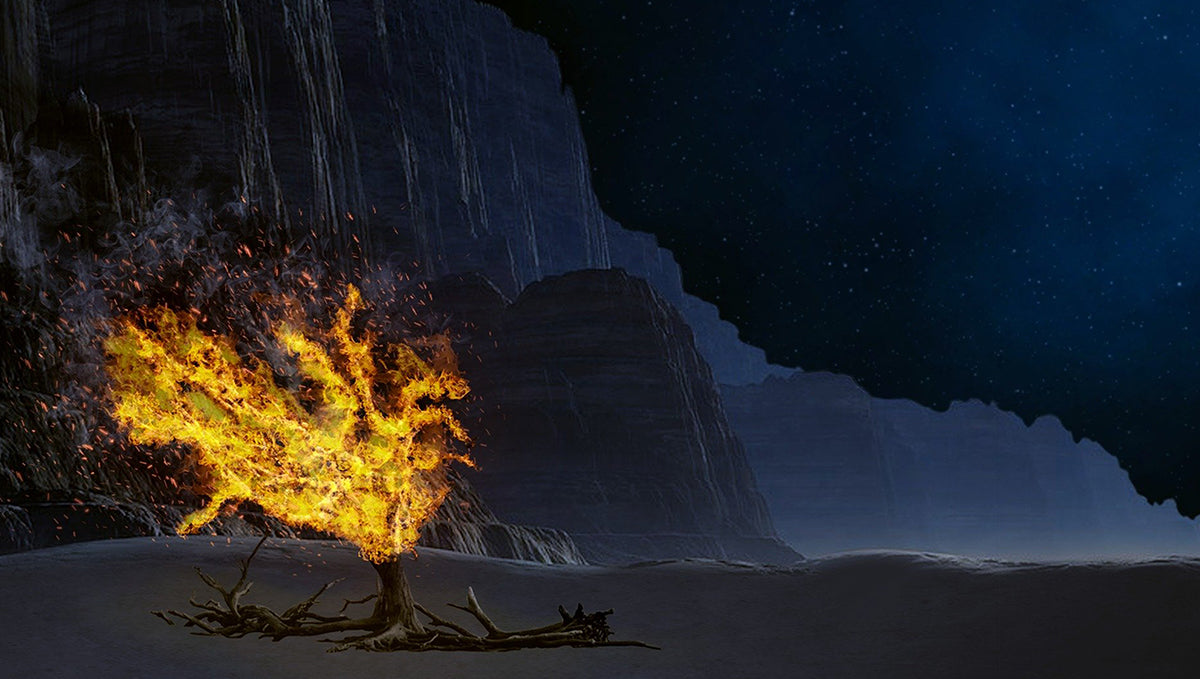 Be on the lookout for Holy Ground!