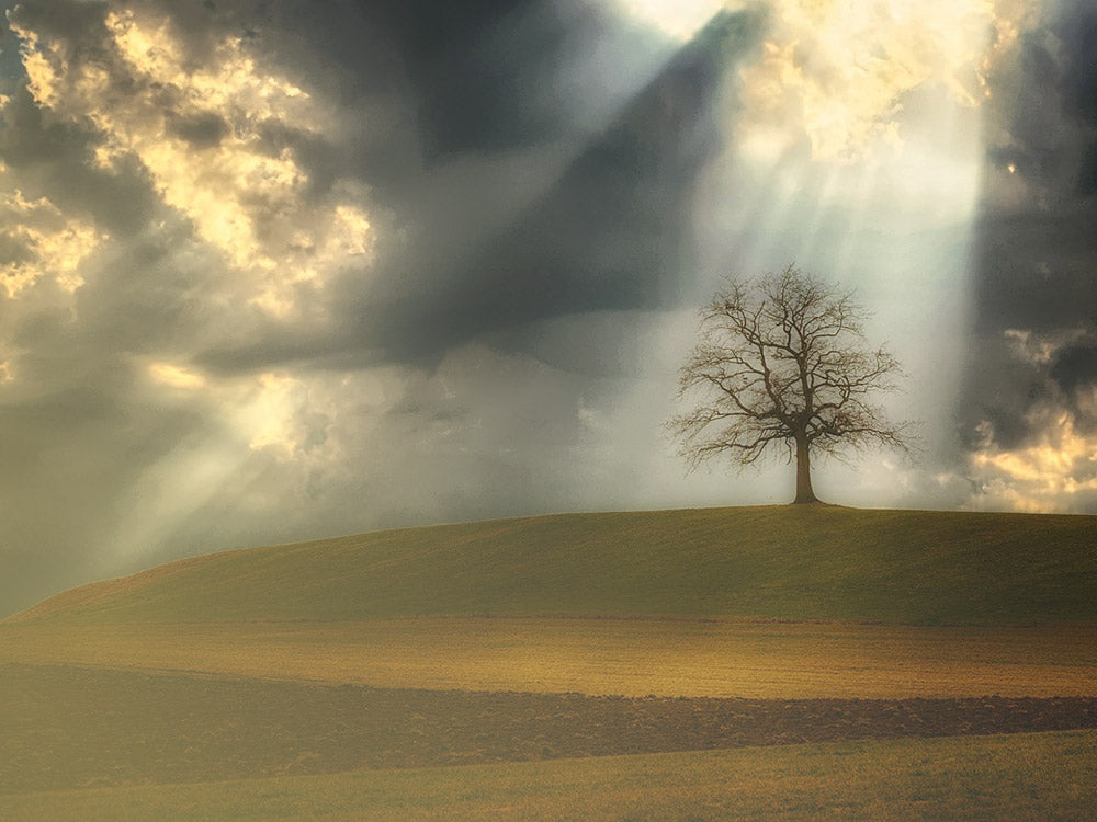 Chosen People and a Chosen Place.