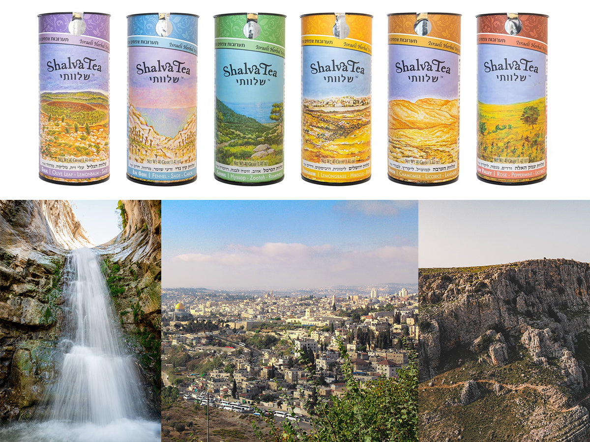 Each Of These Six Teas Represents A Special Place In Israel!