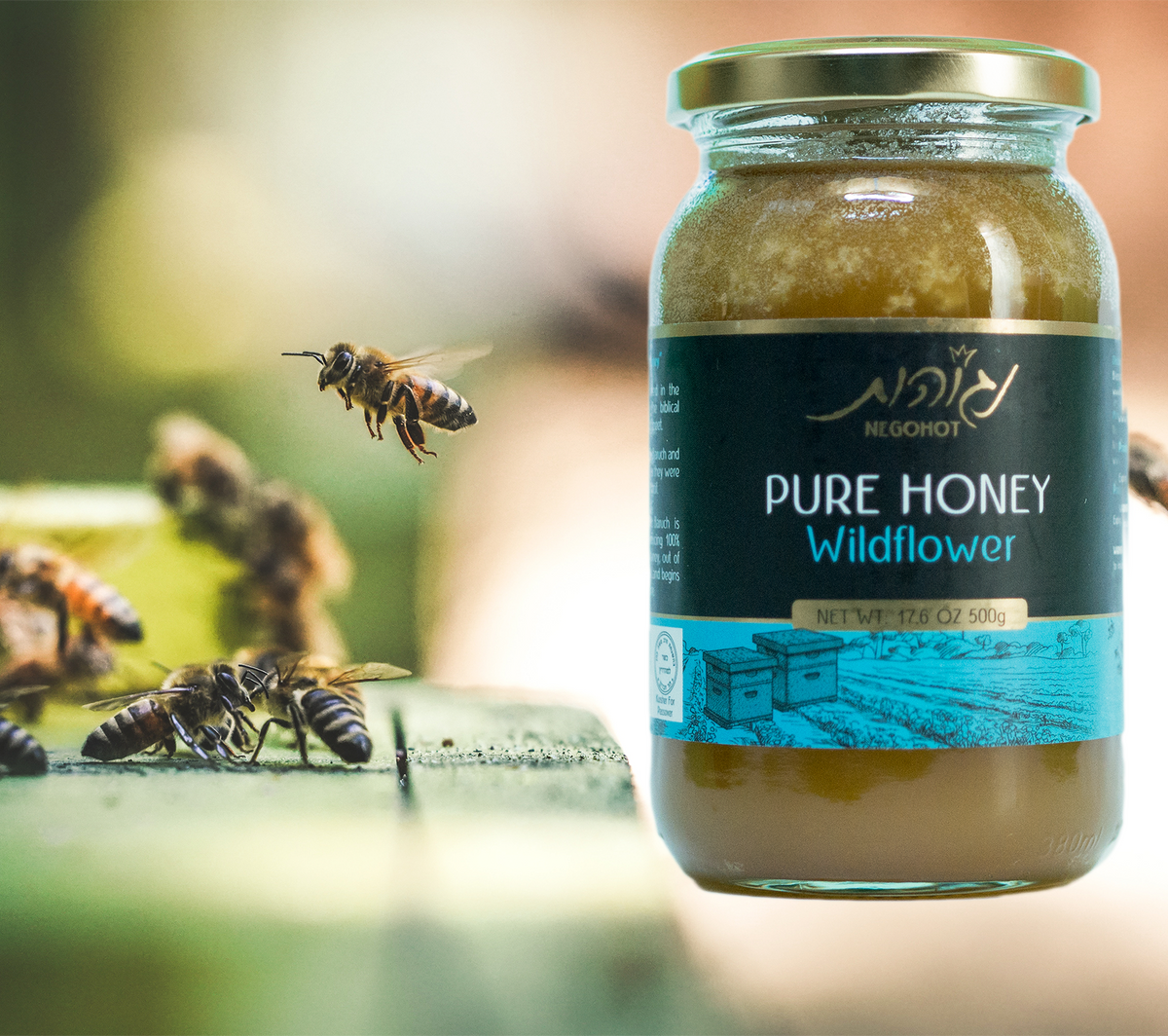 All Natural, Raw, and Unfiltered Wildflower Honey from Judea and Samaria Israel