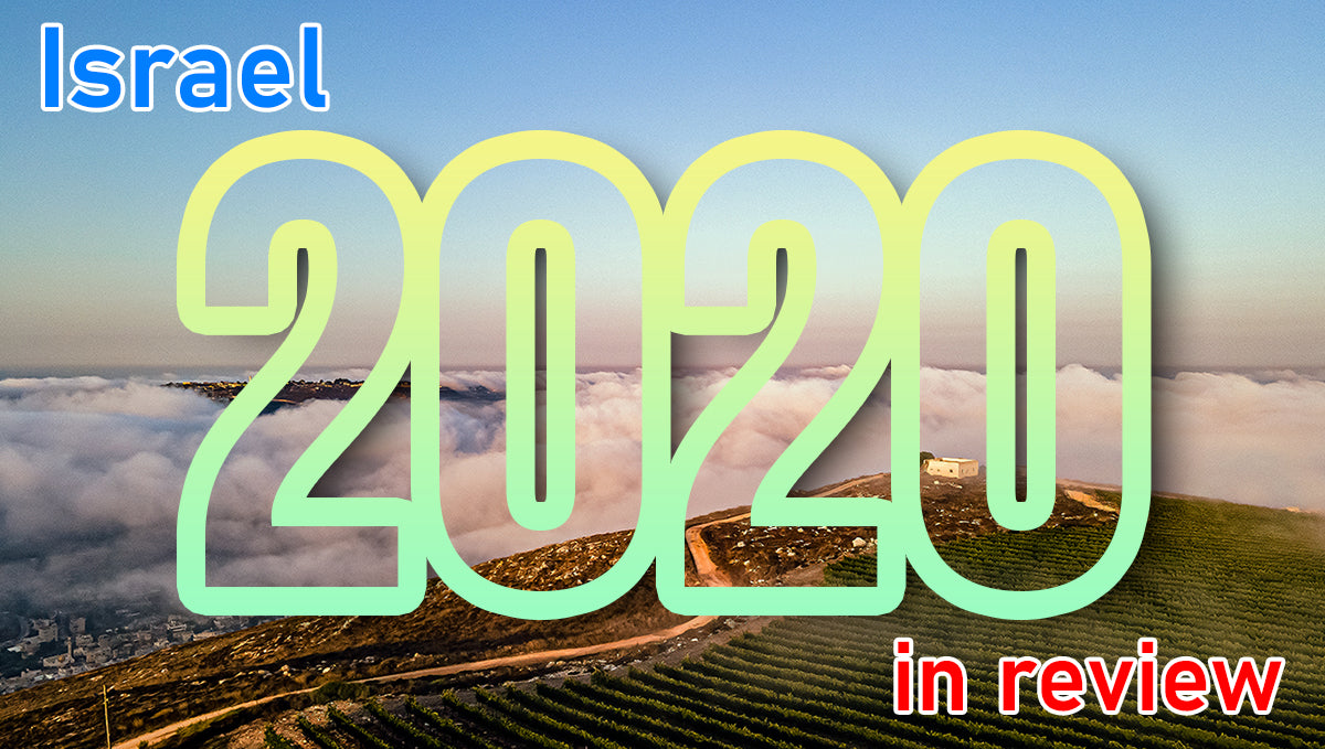 Judea and Samaria, a look back at 2020