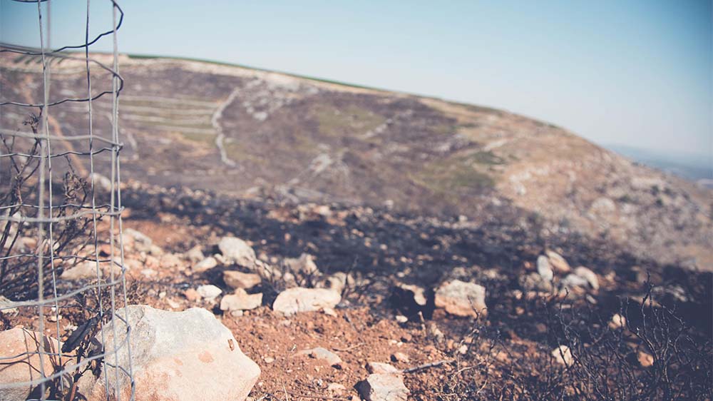 Ending the violence in Judea and Samaria