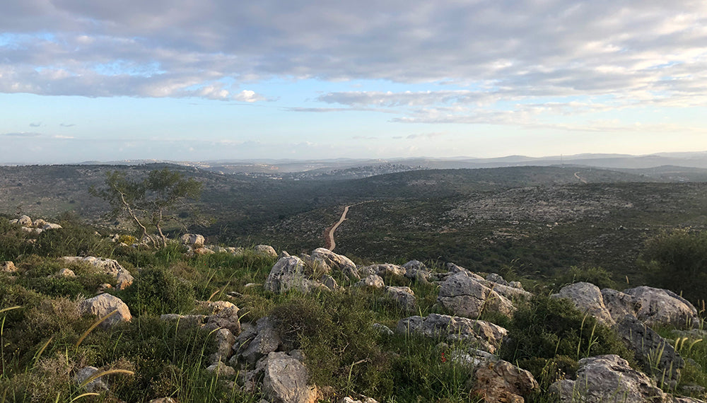 Stop Calling it the West Bank. It’s Judea and Samaria