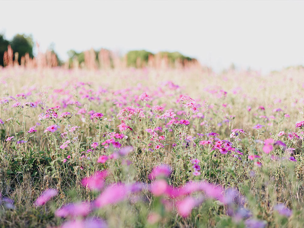 What makes your New Year sweet?