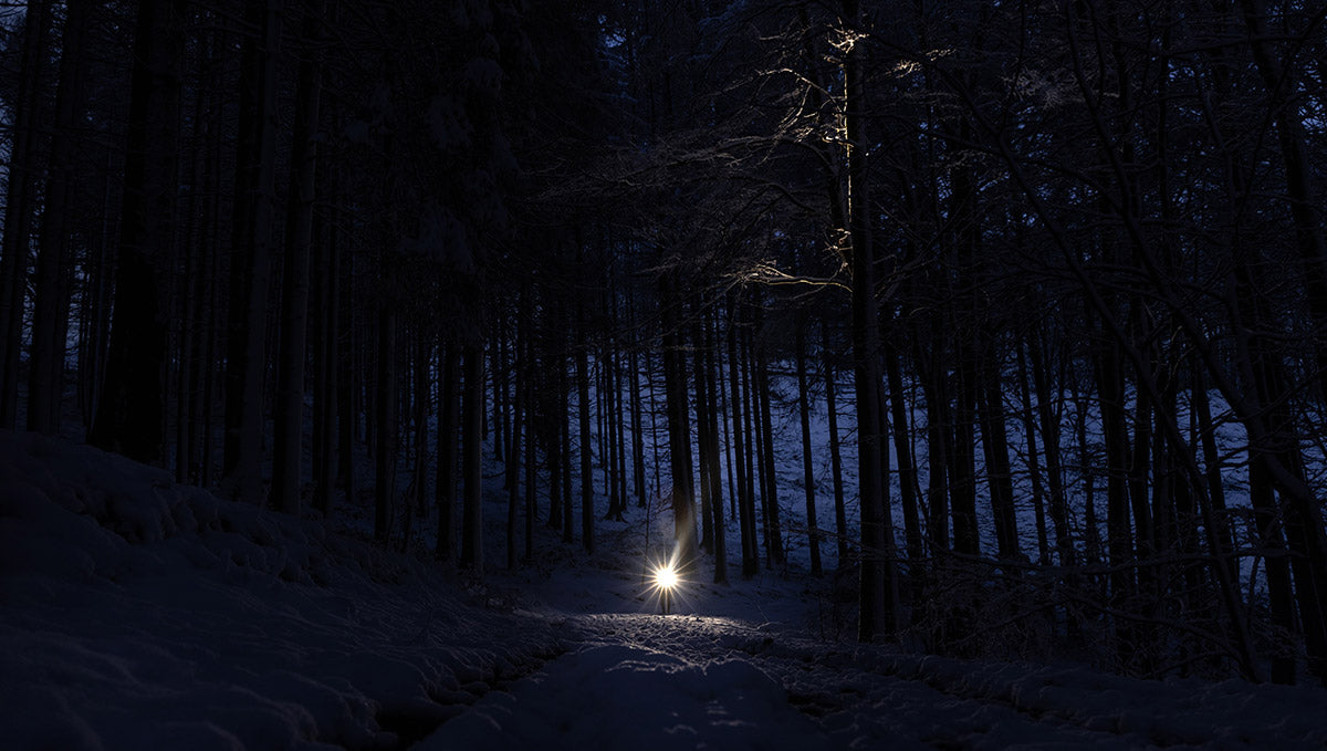 The Book of Esther has a Message for You!