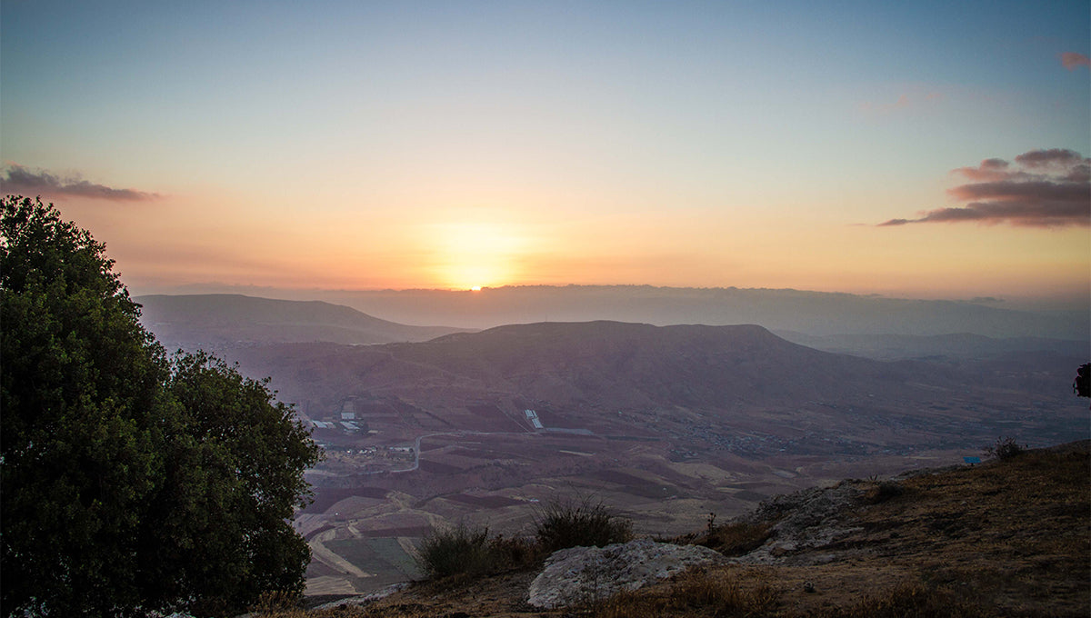 Community in Focus: Elon Moreh