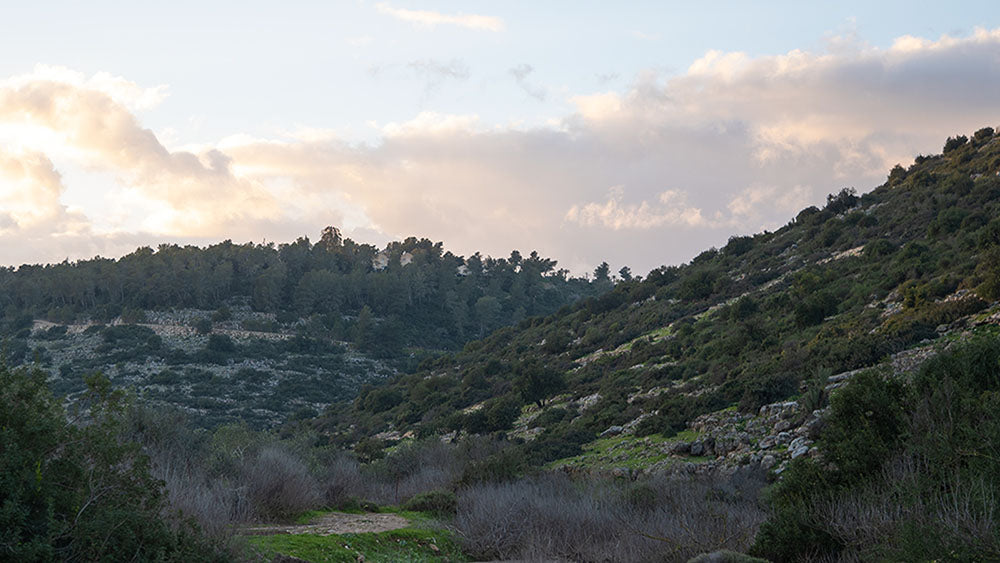 Holding on to the biblical heartland