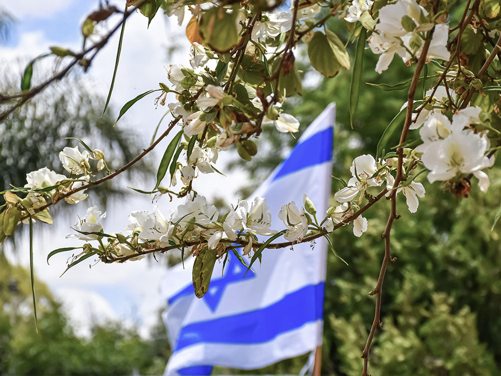 Israel is proof of God's faithfulness!