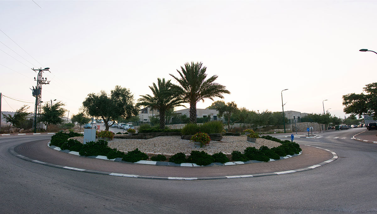 Community in Focus: Rechelim