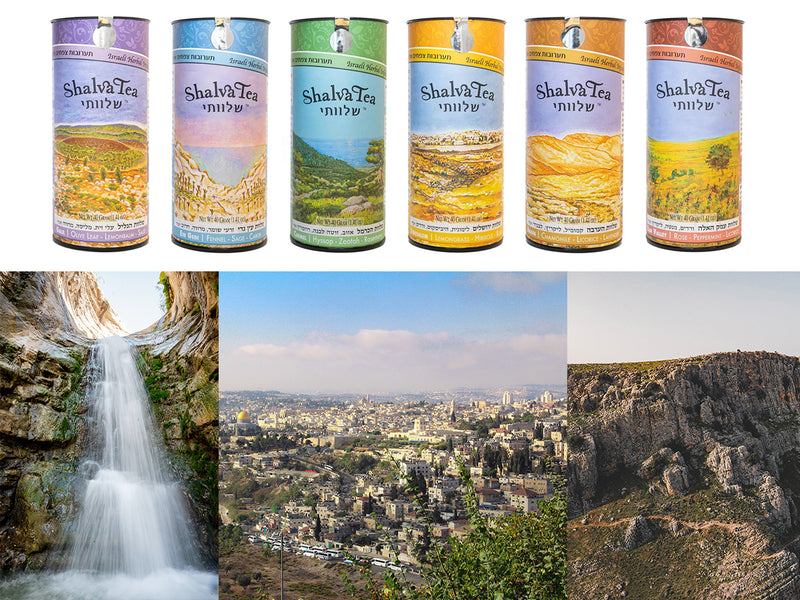Ismael Tea Each Of These Six Teas Represents A Special Place In Israel! – BBI