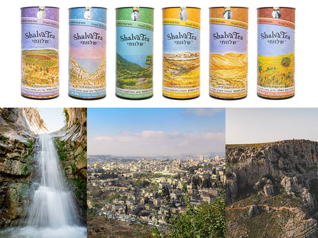 Each Of These Six Teas Represents A Special Place In Israel!