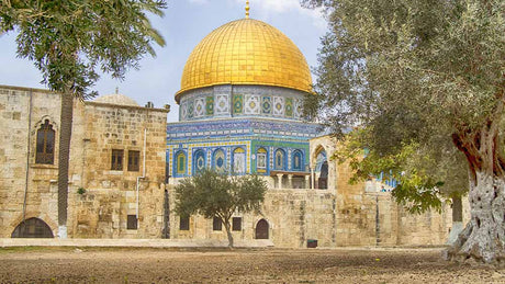 This Ancient History Was Almost Lost