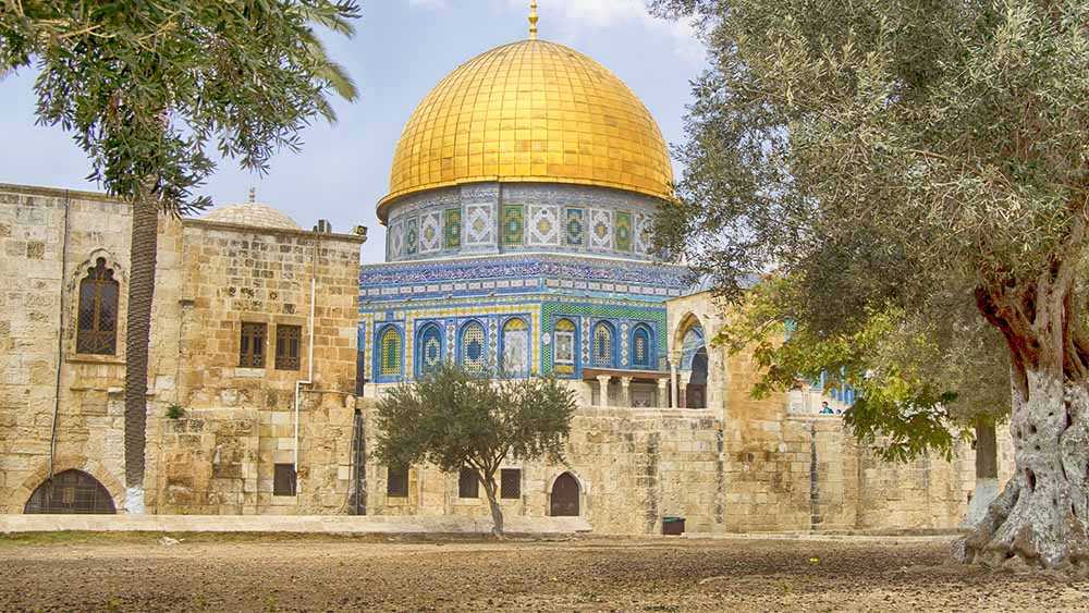 This Ancient History Was Almost Lost