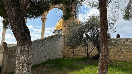 An Exciting Discovery From the Time of Solomon’s Temple