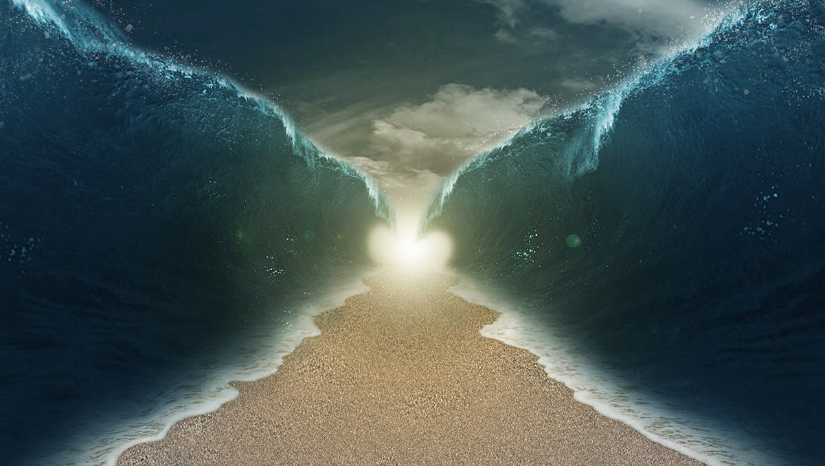 Passover: A Reminder that God is in Control.