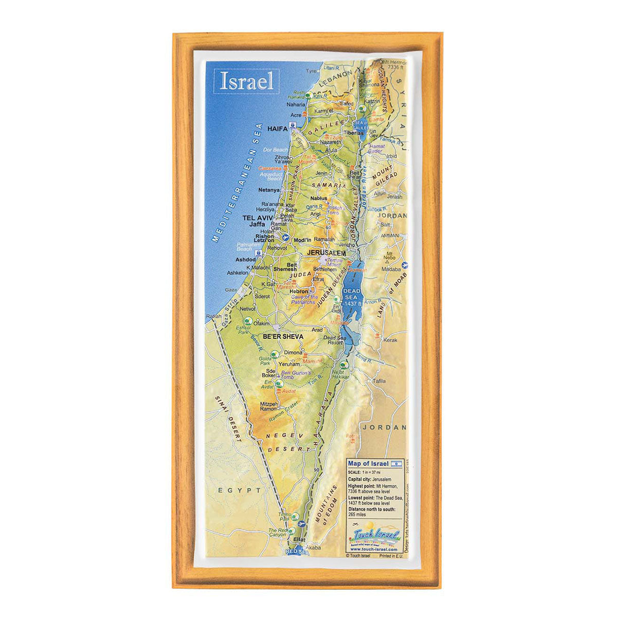 3D Israel Magnet