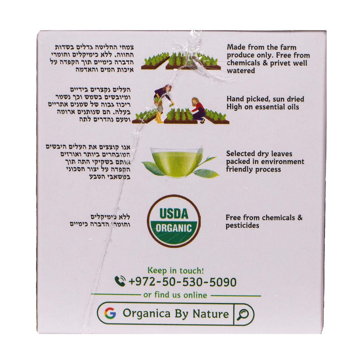 Organic Verbena & White Savory Tea