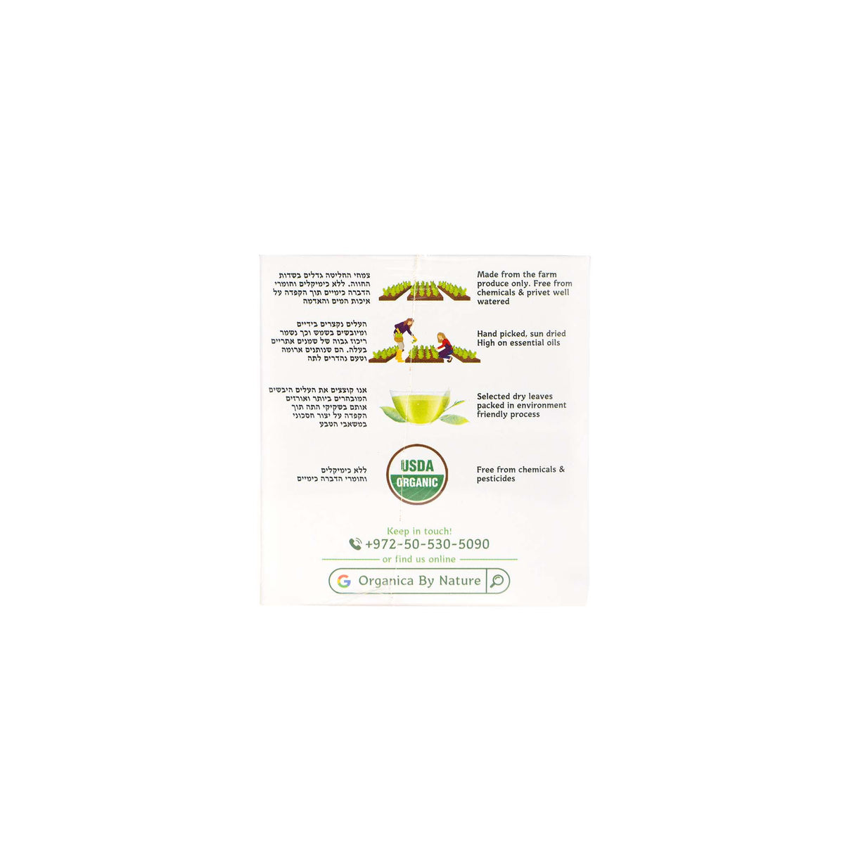 Organic Verbena &amp; Sage Tea