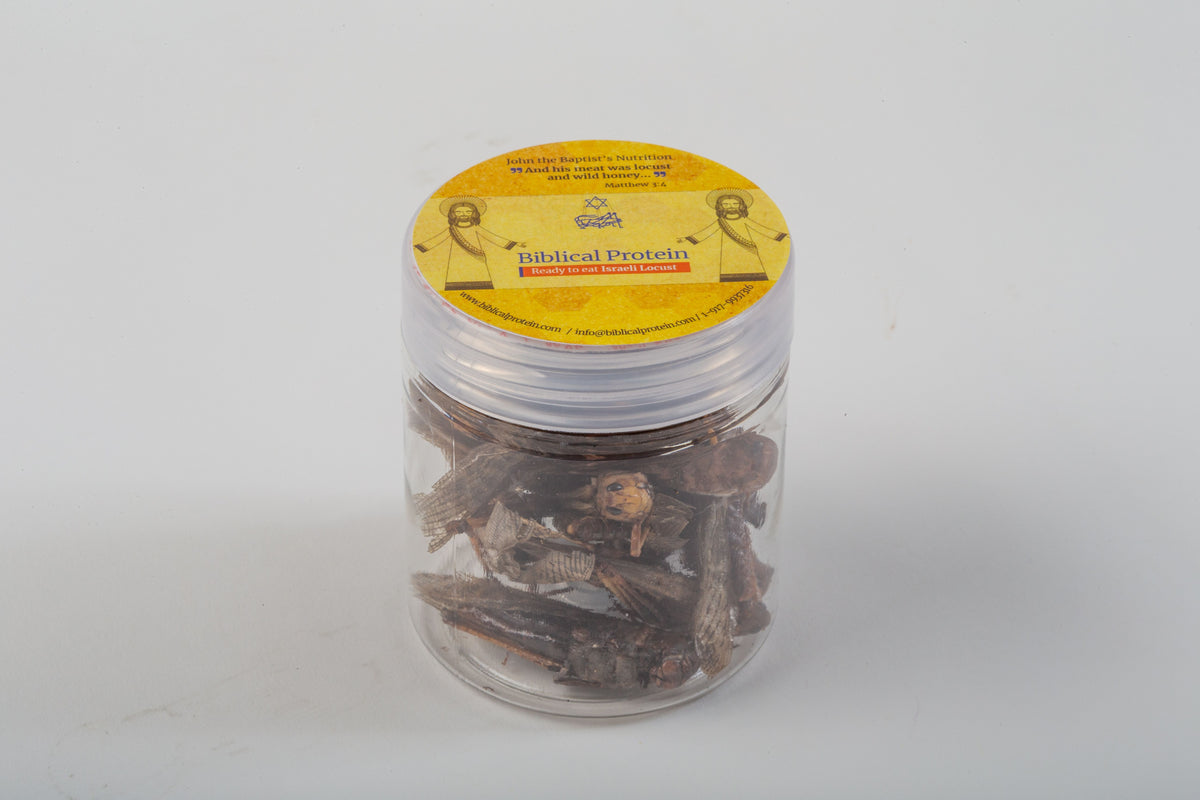 A Jar of Locusts from Israel